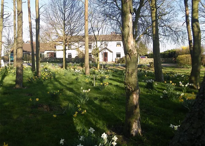 Killerby Farm Bed & Breakfast