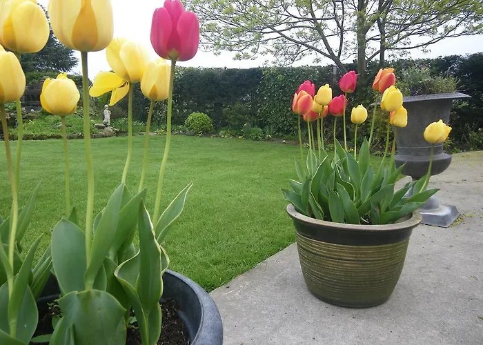 Killerby Farm فندق مبيت وإفطار سكرابورو