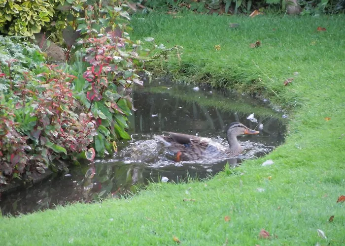 فندق مبيت وإفطار Killerby Farm سكرابورو