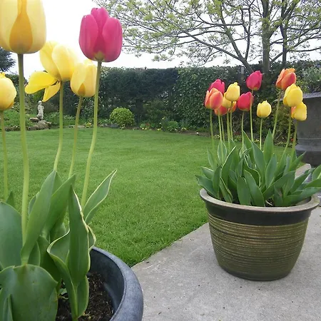 Killerby Farm Bed & Breakfast Scarborough