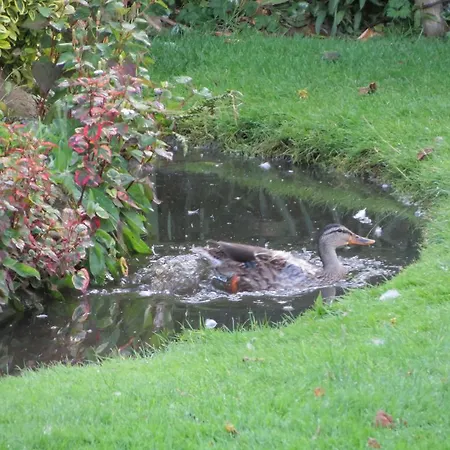 Bed & Breakfast Killerby Farm Scarborough